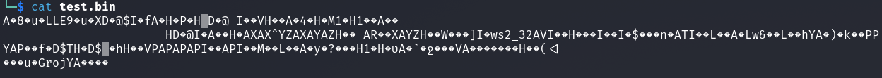 shellcode in raw format